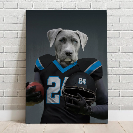 Carolina Panthers