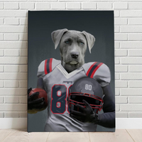 New England Patriots