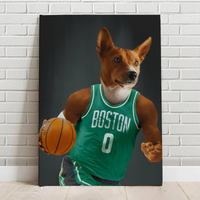 Boston Celtics Basketball