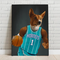 Charlotte Hornets
