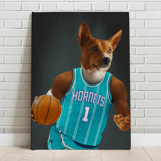 Charlotte Hornets