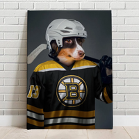 Boston Bruins Ice Hockey