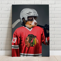 Chicago Blackhawks Ice Hockey