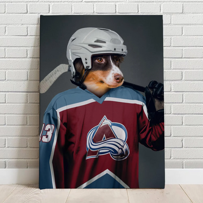 Colorado Avalanche Ice Hockey