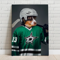 Dallas Stars Ice Hockey