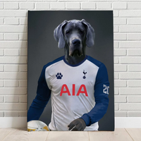 Tottenham Hotspur FC