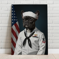 Navy Military Soldier