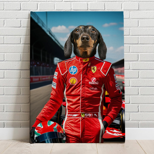 Ferrari F1 Driver team Racer