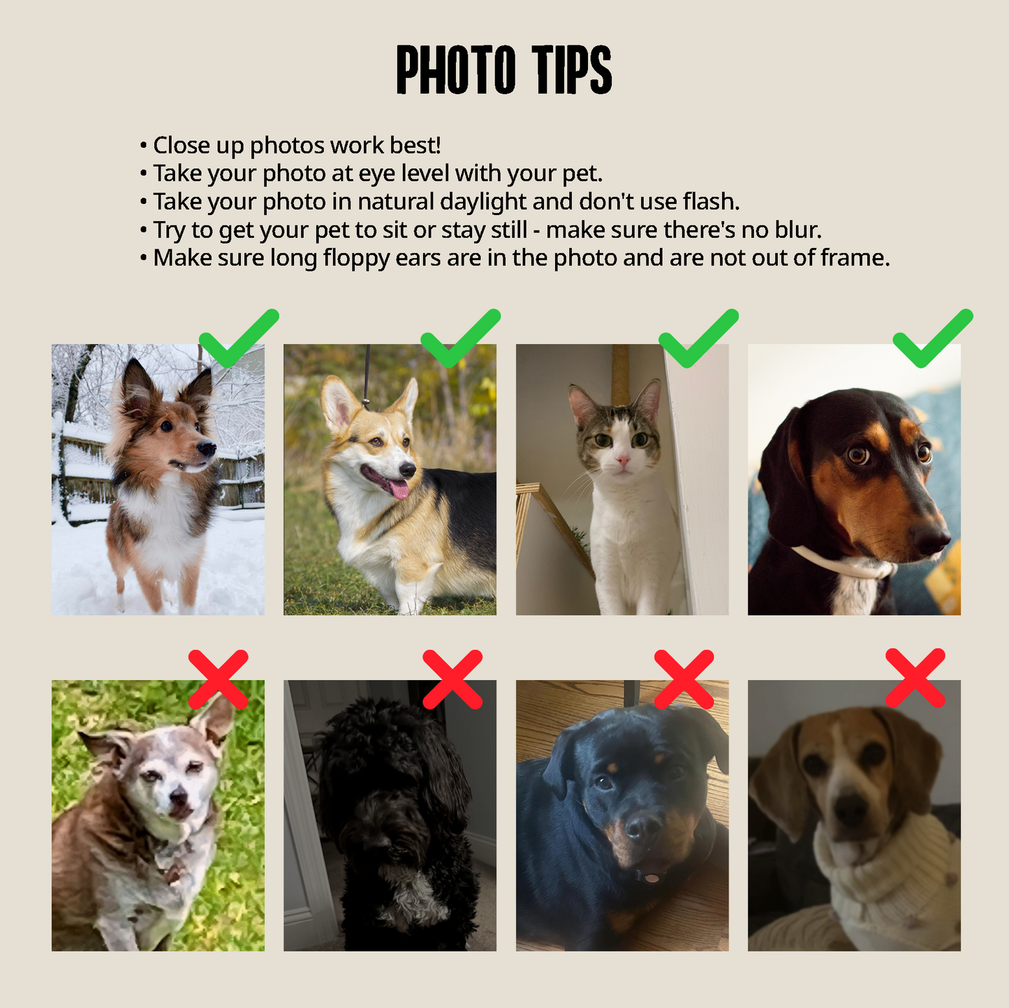 Custom Pet Portrait Bathroom Bath