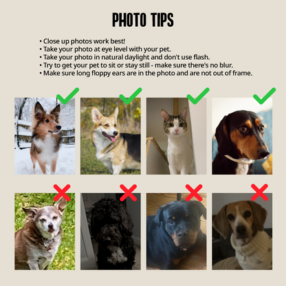 Custom Pet Portrait Bathroom Bath