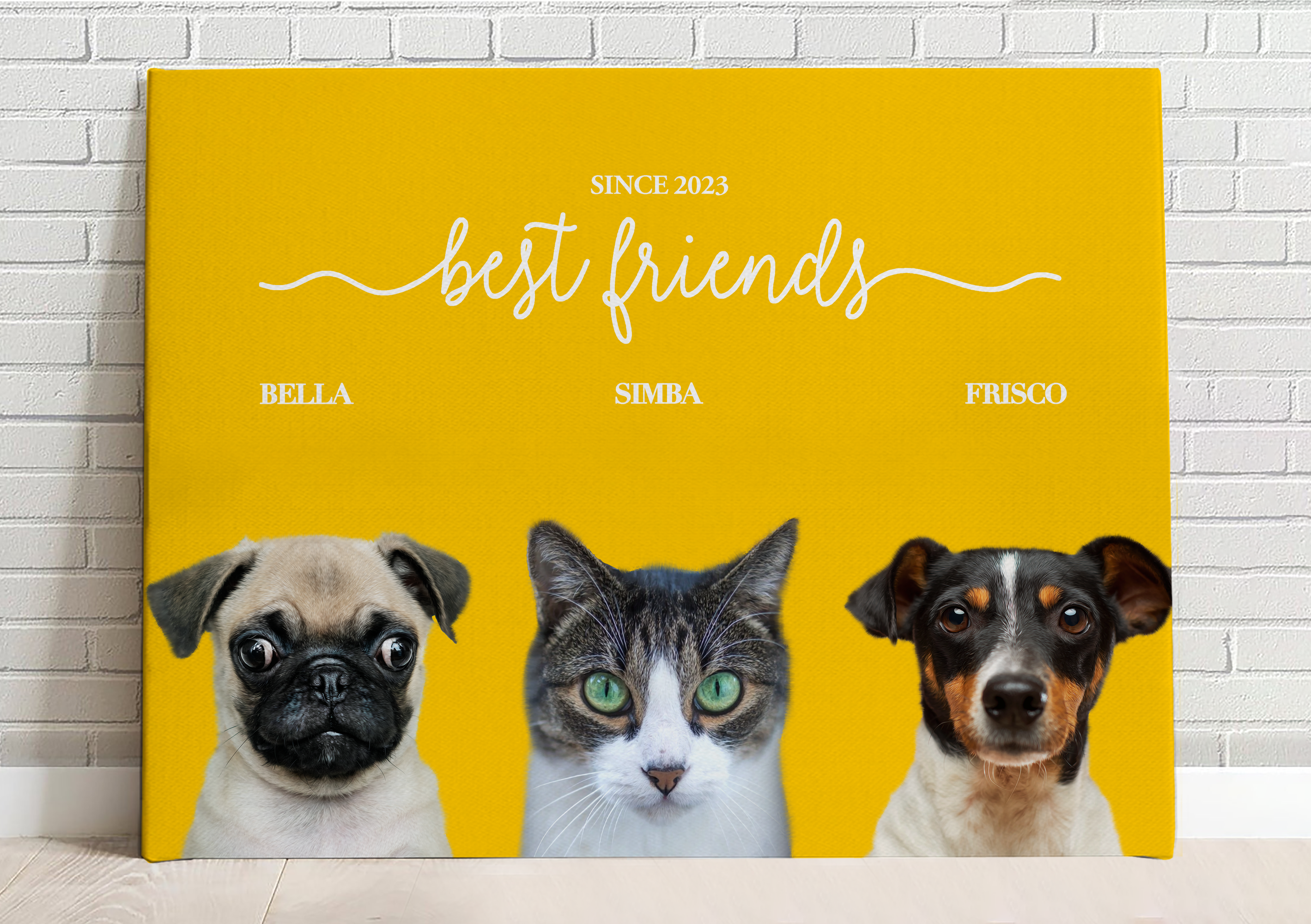 Honor Your Furry Friend, Transform Your Home