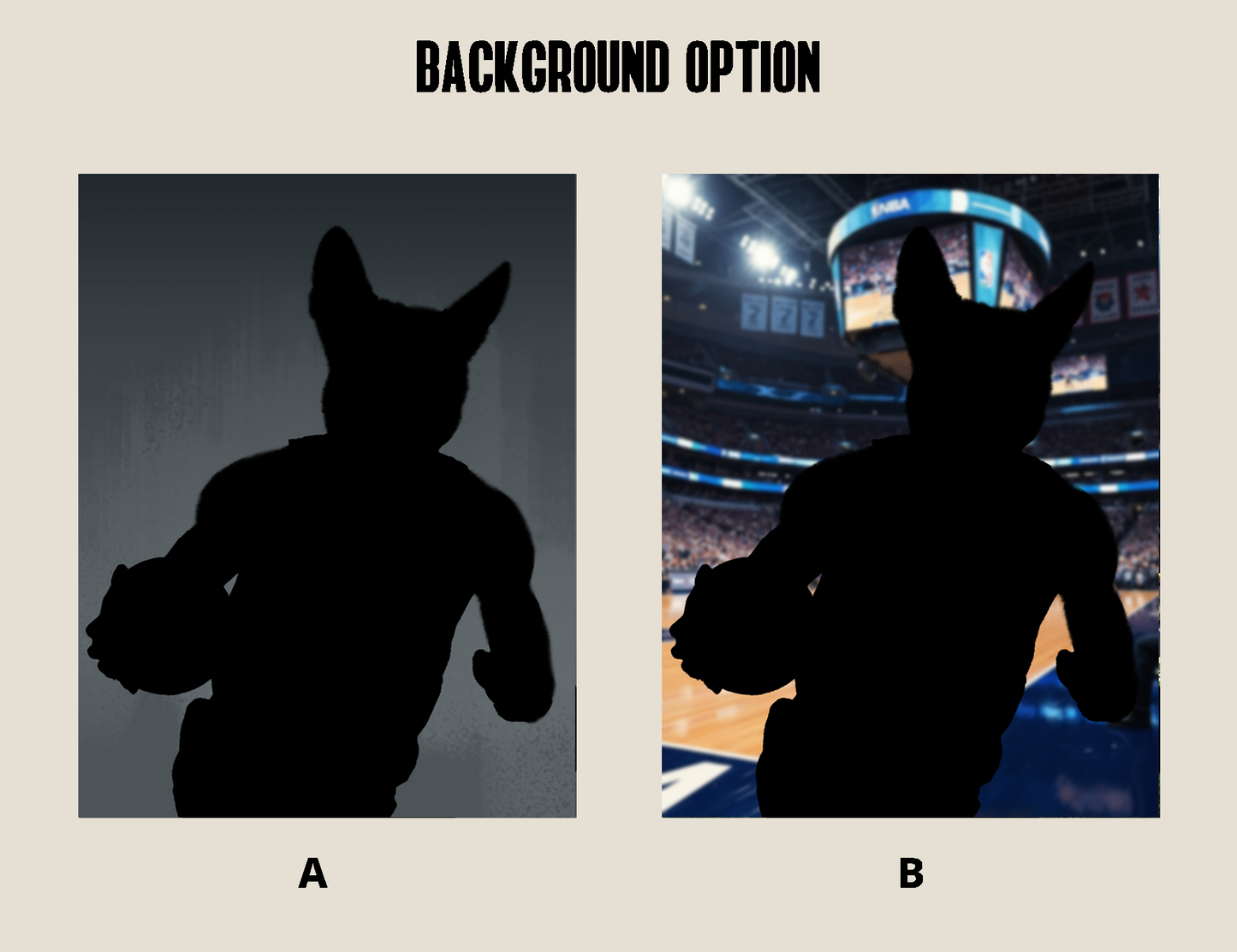 Charlotte Hornets