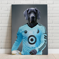 Minnesota United FC